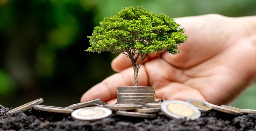 Un nuevo estudio del CDP revela que la acción climática ofrece hasta un 7× ROI para las empresas