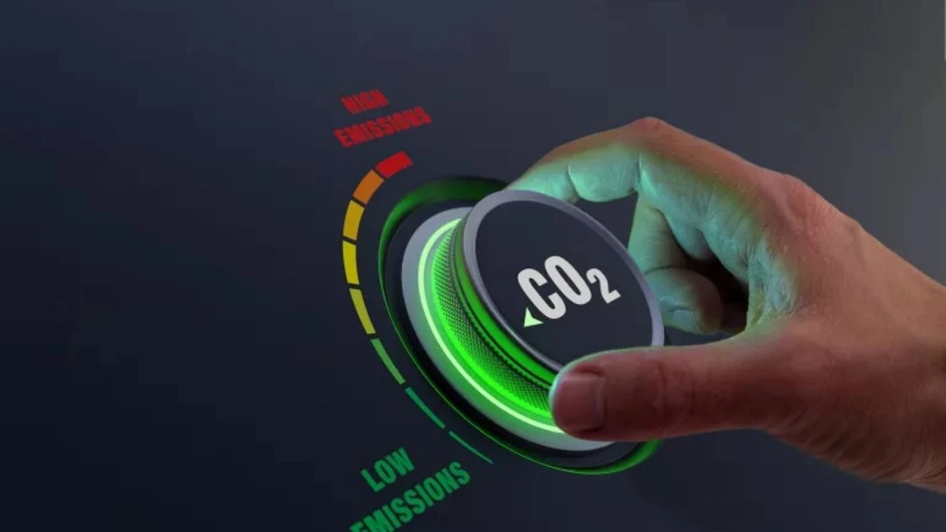 Lloyds Bank Sets Up Dedicated Carbon and Nature Markets Practice to Boost Corporate Sustainability