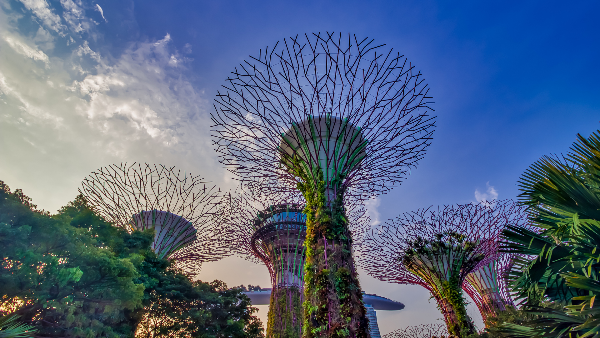 Singapore at 60: Advancing Sustainability Through Purposeful Policy and Community-Led Innovation