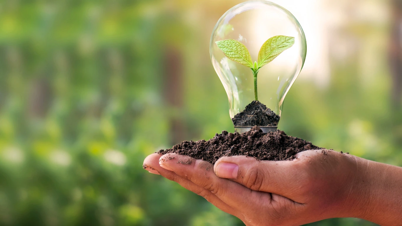 M&S와 블랙 불 바이오차, 가금류 분야에서 혁신적인 탄소 제거 시험 시작