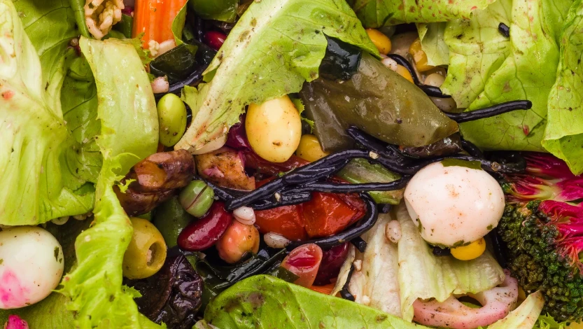 EU Parliament Approves Strong Rules to Slash Textile & Food Waste by 2030