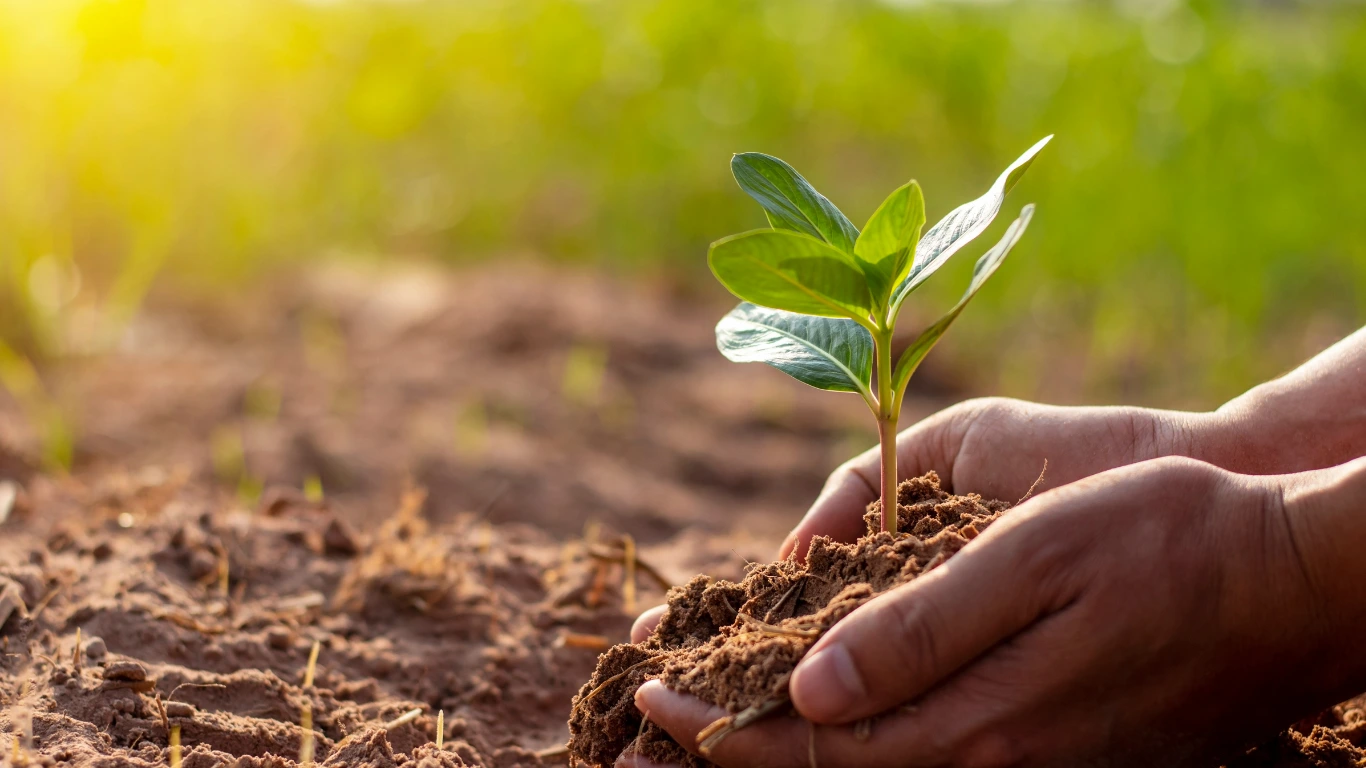 La CaisseとCEFCが、農業におけるカーボンクレジット推進のための1億6,500万ドルのプラットフォームを発表