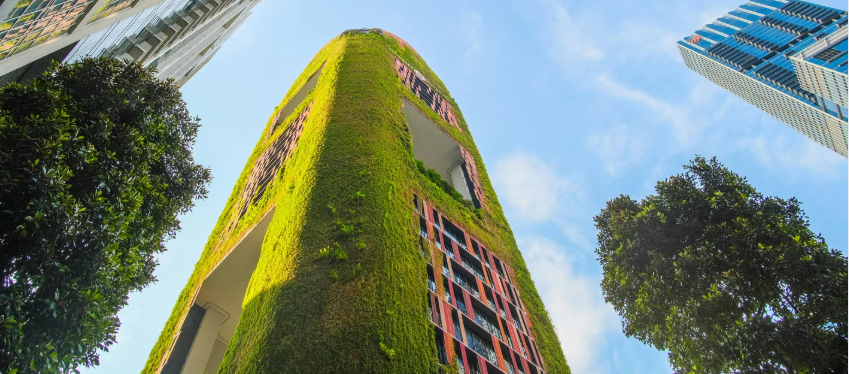 넷제로 은행 연합, 주요 은행 철수와 전략적 전환 속에서 영업 중단