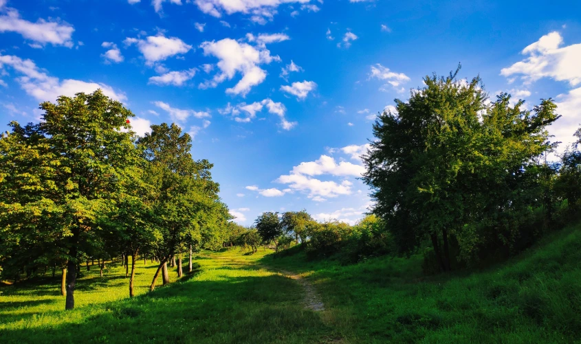 ポーランド初の直接空中捕獲パイロットがキェルツェで離陸