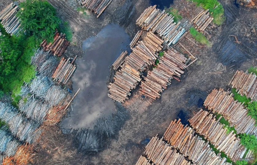 Brands Push Back as EU Considers Delaying Deforestation Regulation