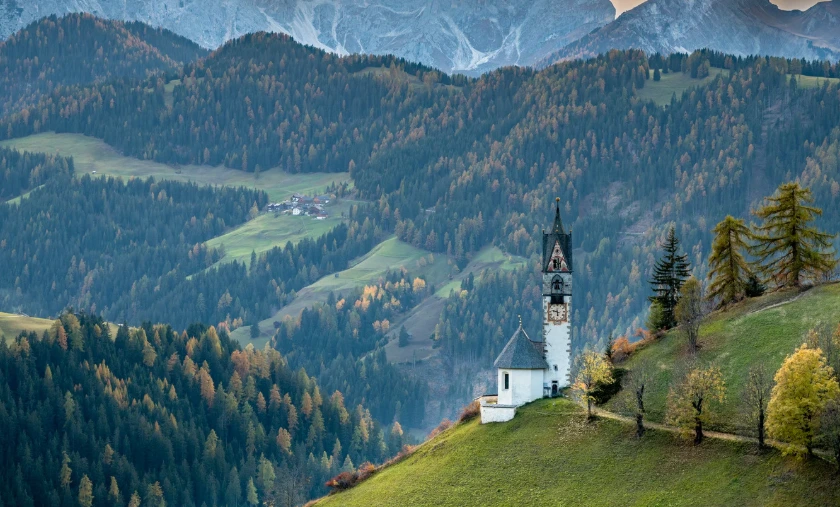 EU Delays Deforestation-Free Supply Chain Law: What Businesses Need to Know