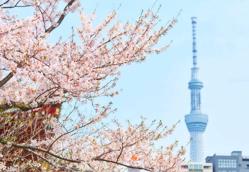 World’s First Climate Resilience Bond Launches in Tokyo