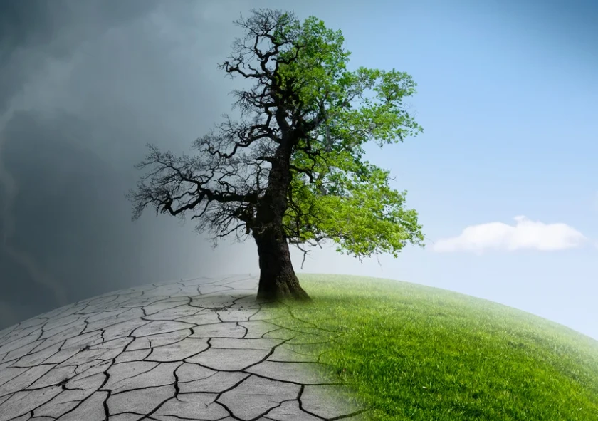 COP30 di Belém: Hasil Utama dan Apa Artinya bagi Aksi Iklim