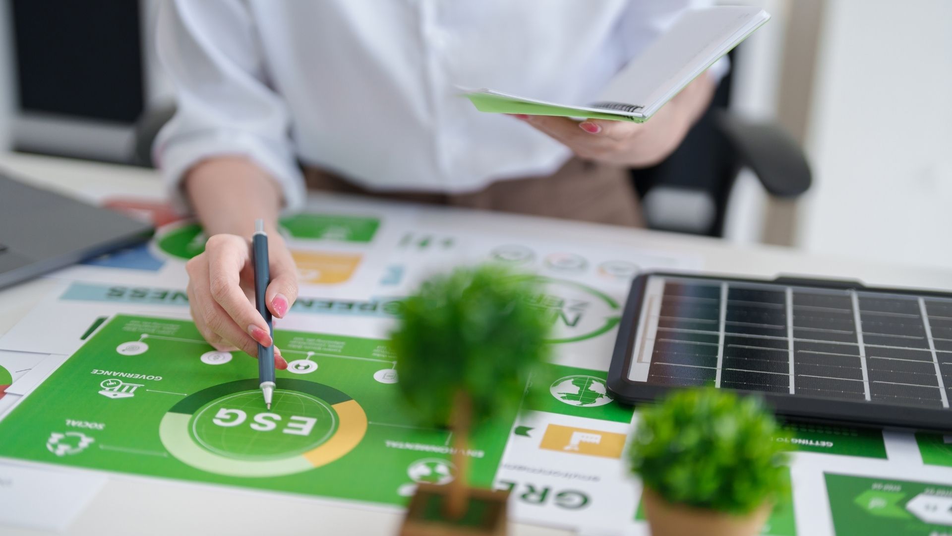 ISSB가 TNFD가 기술 작업을 중단하면서 자연 보도의 주류로 전환