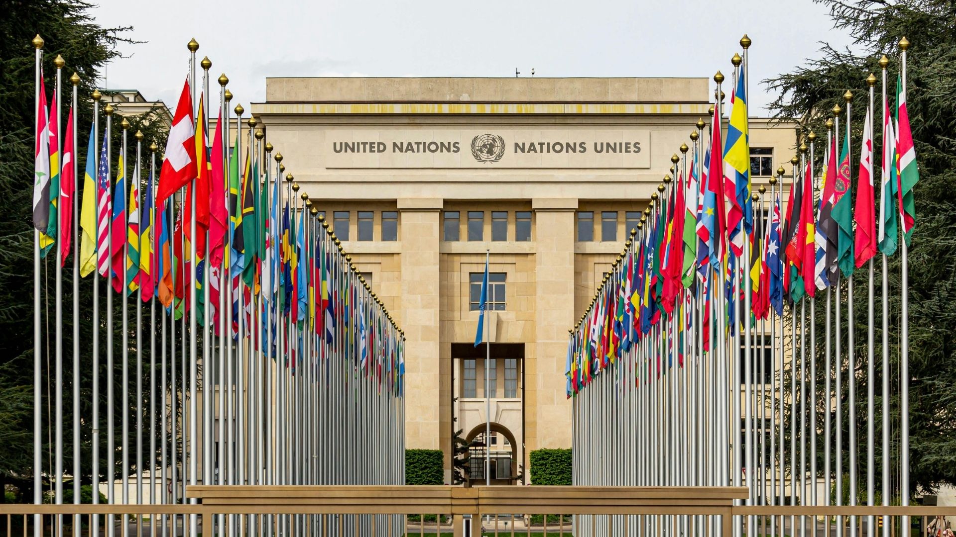 Conference of the Parties (COP): Global Climate Governance and the Road to COP30