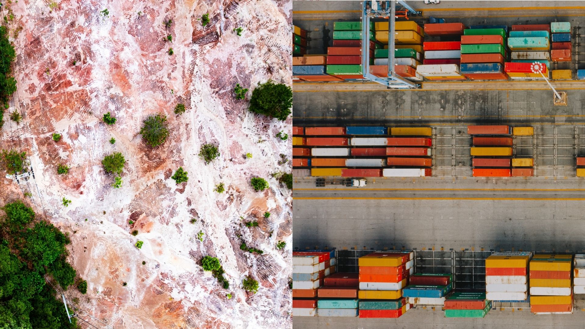 EU Countries Vote to Delay and Weaken Supply Chain Deforestation Law