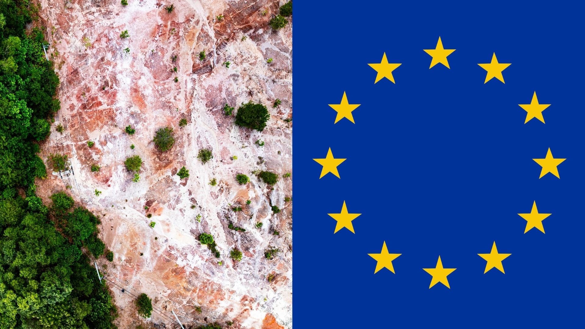 Featured image for EU Parliament Backs One-Year Delay and Streamlined Rules for Deforestation Regulation