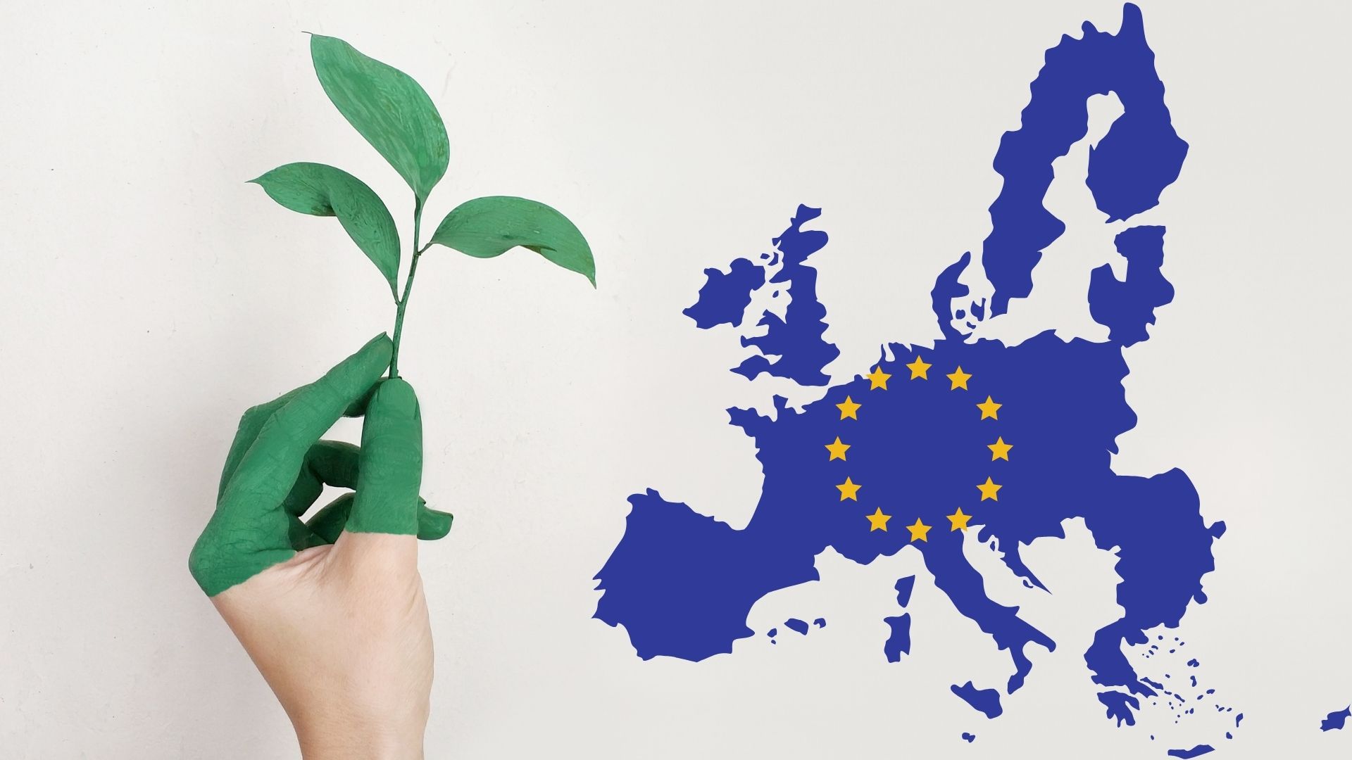 SFDR 2.0: A New Era of Product Categorisation and Simpler Sustainability Disclosure in Europe